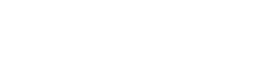EMS of Power Electronics 先行開発から量産設計まで、幅広くサポートするパワーエレクトロニクス開発型EMS事業を展開